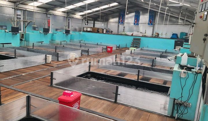 Fish Farming Pond / Concrete Pond for Business Space Rental