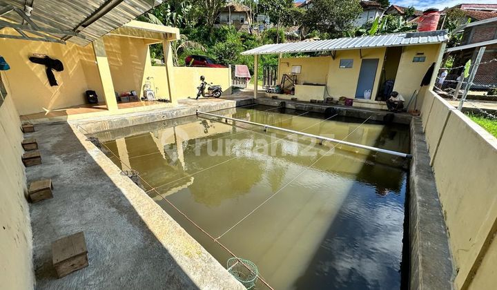 Rumah dan Kolam Pemancingan Dijual di Ujungberung Bandung 2