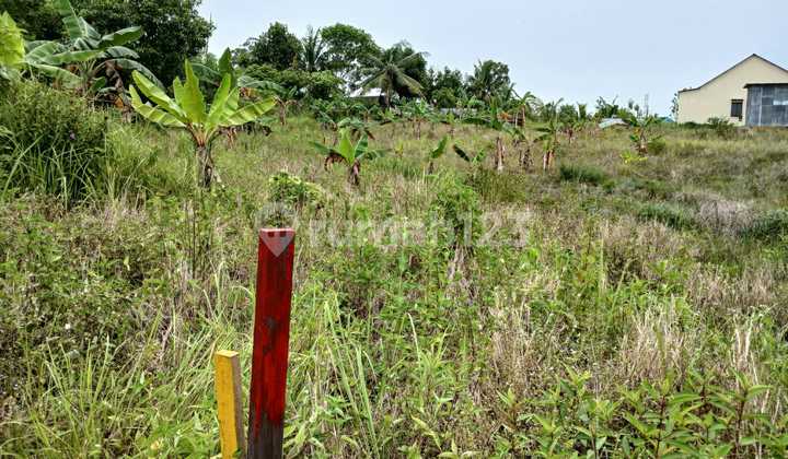 Tanah Murah Dekat Stadion Batakan Konstur Lahan Datar Siap Bangun