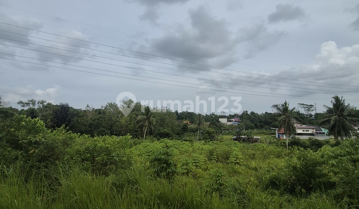 Lahan Di Kilo 16 Cocok Untuk Perumahan Jual Cepat Butuh Uang Lahan Di Kilo 16 Cocok Untuk Perumahan Jual Cepat Butuh Uang