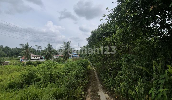 Lahan Di Kilo 16 Cocok Untuk Perumahan Jual Cepat Butuh Uang Lahan Di Kilo 16 Cocok Untuk Perumahan Jual Cepat Butuh Uang