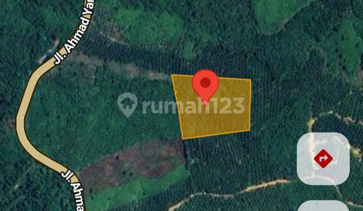 Lahan 5 Hektar Di Sepaku Ada Sawit 8 Tahun Produktif Dijual Cepat