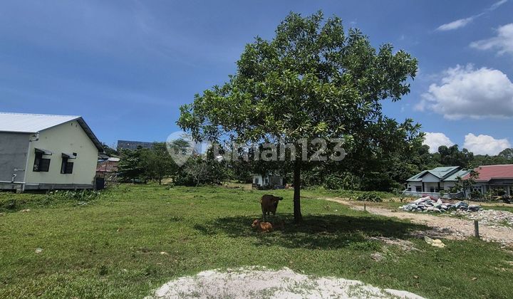 Lahan Di Kampung Timur Siap Bangun Lokasi Strategis Konstur Datar Lahan Di Kampung Timur Siap Bangun Lokasi Strategis Konstur Datar