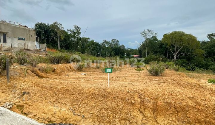 Take Over Land Plot Substitute Down Payment Only 55 Million Location Kilo 8 Take Over Land Plot Substitute Down Payment Only 55 Million Location Kilo 8