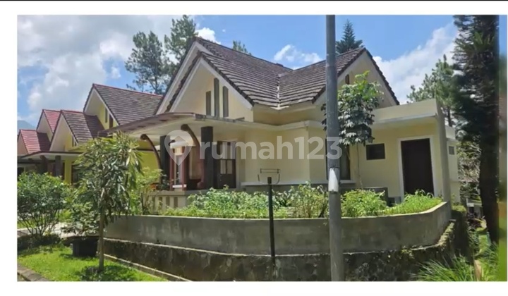 1 Floor, Near City Bus Access, Located in an Islamic Neighborhood,