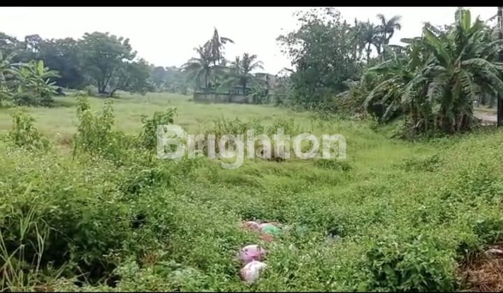 Land in Balaraja Cikande Land in Balaraja Cikande