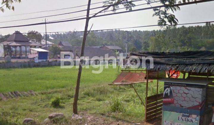 LAHAN TANAH UNTUK INDUSTRI DI PINGGIR JALAN RAYA BATANG - KENDAL 1