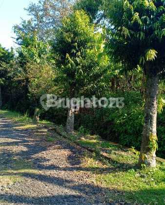 Miliki Tanah Feng Shui Bagus. Bawa Hokie. Di Bukit Kartika. Semarang 2