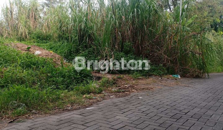OWN A LAND WITH SHM FREE FROM FLOODS, VERY AFFORDABLE NEAR MAJAPAHIT ESTATE PARK. FIRST COME, FIRST SERVED. LOCATED ON PESANTREN STREET NEXT TO MAJAPAHIT ESTATE PARK, EAST SEMARANG. 1
