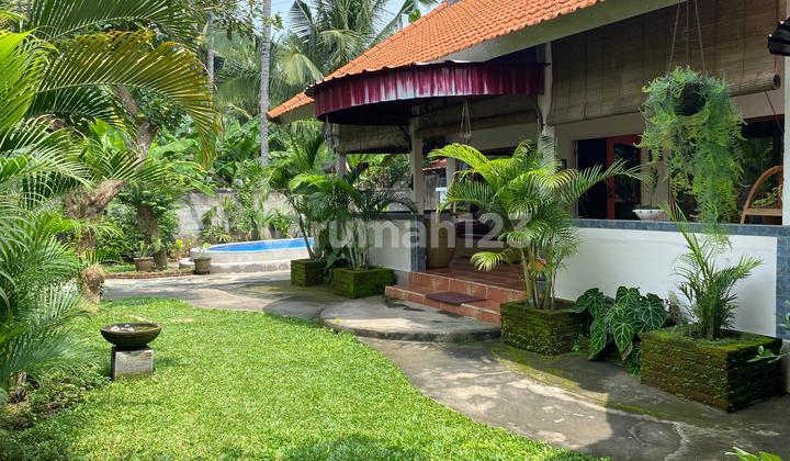 Dijual Rumah SHM 240 m² Kaliasem, Dekat Pantai & Kolam Renang 1