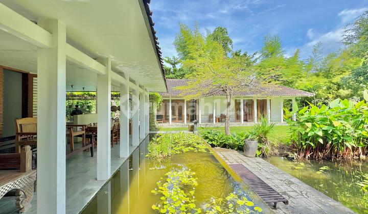 Dijual Villa SHM 1500 m² Lovina, 220m ke Pantai & Kolam Renang