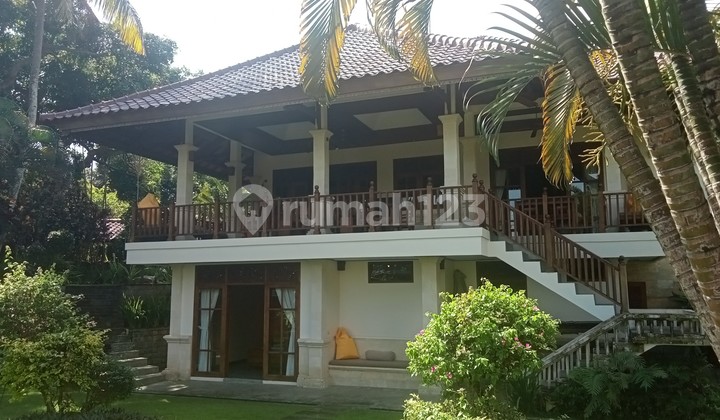 Dijual Villa Jungle View 910m2 di Buleleng SHM Bisnis Sewa Jalan