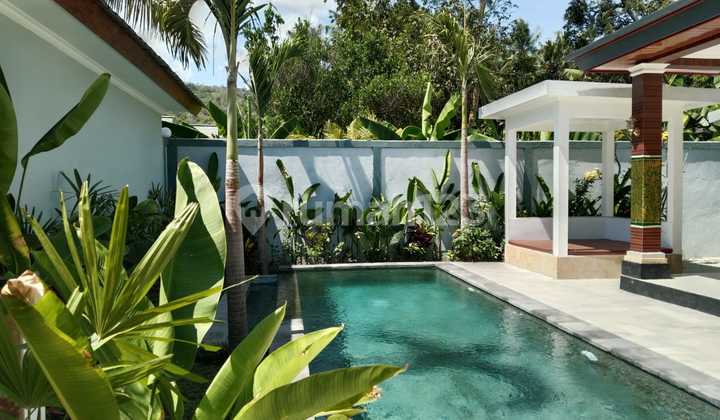 For Sale Twin Villas 700m2 in Lovina Buleleng Freehold Title Swimming Pool