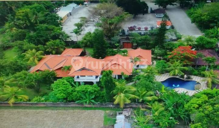 Dijual Villa 3900m2 di Anturan Buleleng SHM Dekat Pantai Dijual Villa 3900m2 di Anturan Buleleng SHM Dekat Pantai