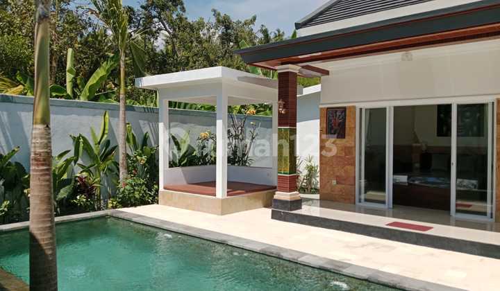 For Sale Twin Villas 700m2 in Lovina Buleleng Freehold Title Swimming Pool