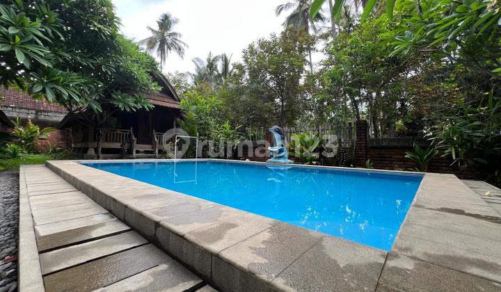 For Sale Eco Villa 800m2 in Tejakula Buleleng Freehold Title Swimming Pool