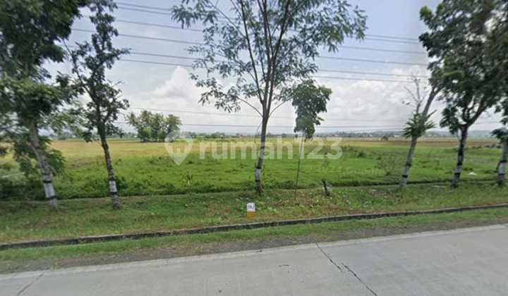 Tanah SHM Jalan Raya Dekat Pabrik Bukateja di Purbalingga Tanah SHM Jalan Raya Dekat Pabrik Bukateja di Purbalingga