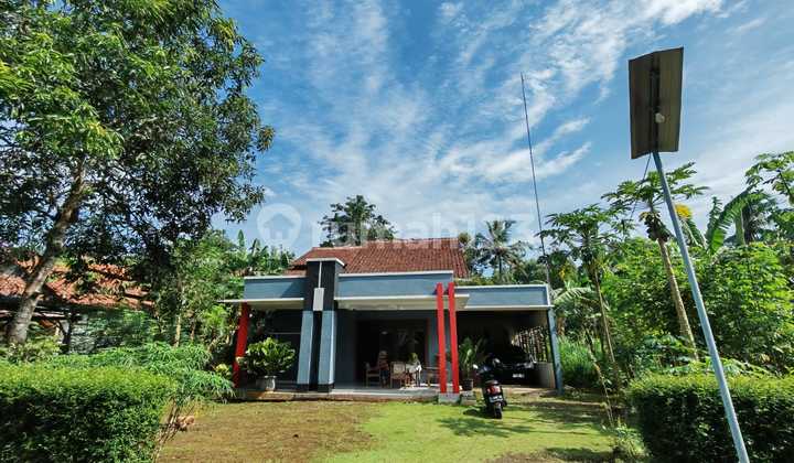 Rumah SHM Luas Dekat Pasar dan Terminal Kroya Cilacap Rumah SHM Luas Dekat Pasar dan Terminal Kroya Cilacap