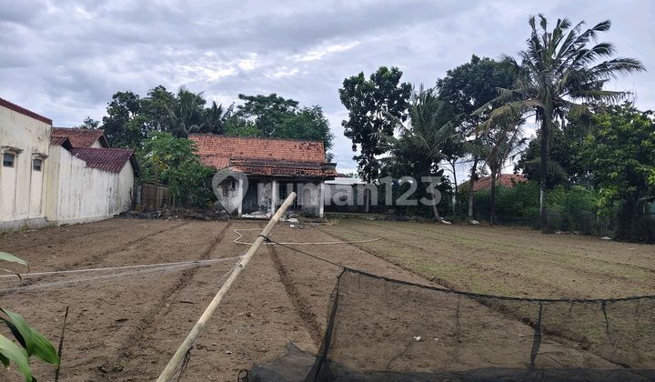 Tanah SHM Lebar Muka 26 Meter di Menganti Cilacap