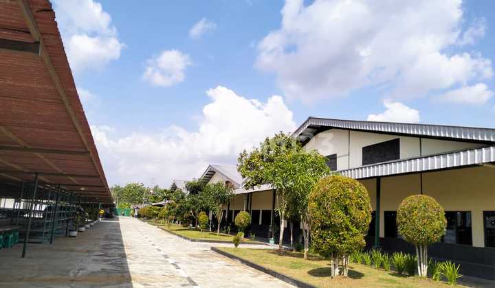 Wide Access Provincial Road Factory Building in Sidareja Cilacap