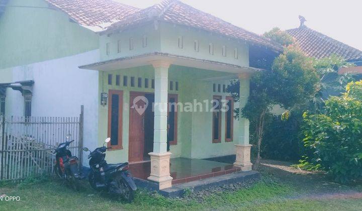 Rumah Shm Pinggir Jalan Raya Maos Sampang Dekat Pertamina Maos 1