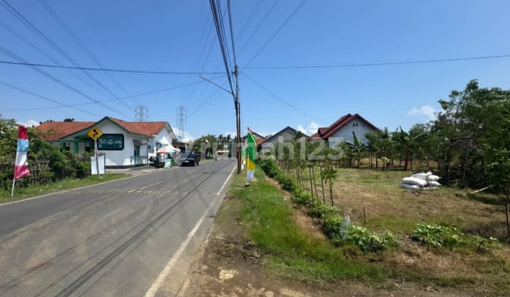 SHM Land Near Cilacap City Center, 45 Meters Wide, Quick Sale