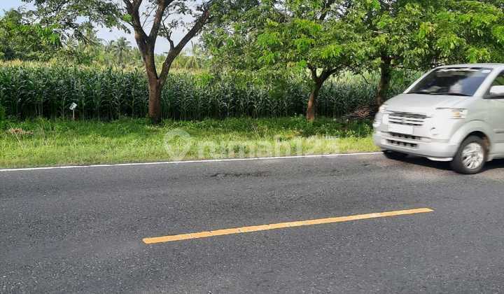Tanah Shm Jalan Daendels 15 Menit Bandara Jogjakarta Tanah Shm Jalan Daendels 15 Menit Bandara Jogjakarta