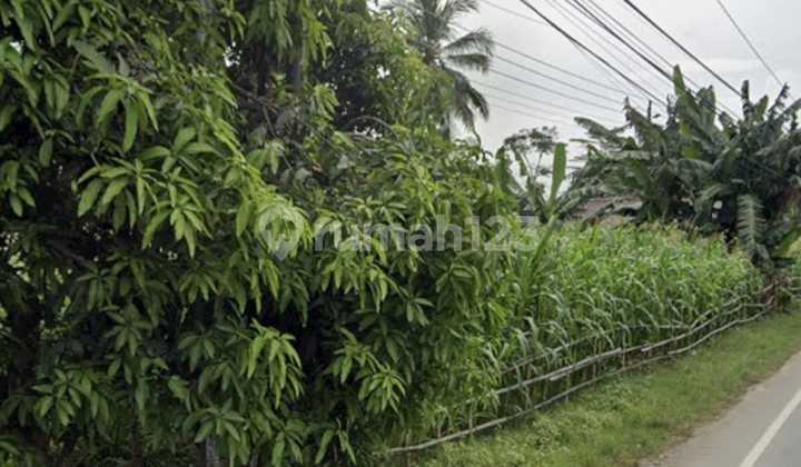 Tanah SHM Depan Batalyon Jalan Raya di Wangon Banyumas