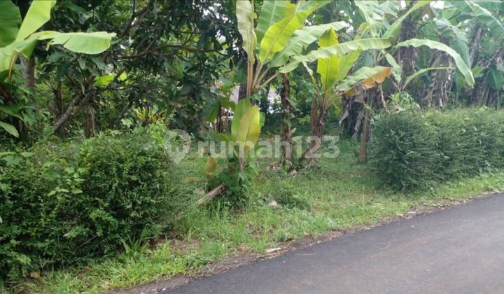 Strategic Land on the Main Road Near Kroya Station Cilacap