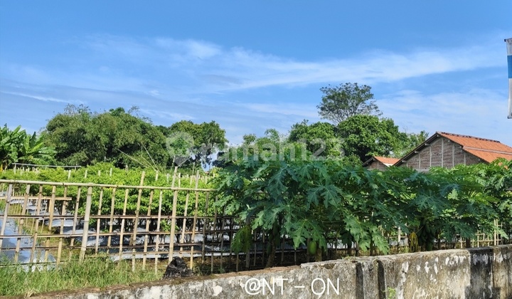 Strategic Land Near Adipala Terminal, Price Below Market Value. Strategic Land Near Adipala Terminal, Price Below Market Value.