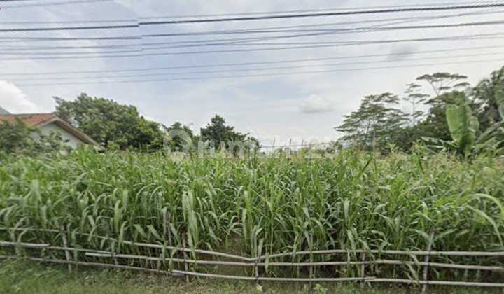 Tanah SHM Depan Batalyon Jalan Raya di Wangon Banyumas Tanah SHM Depan Batalyon Jalan Raya di Wangon Banyumas