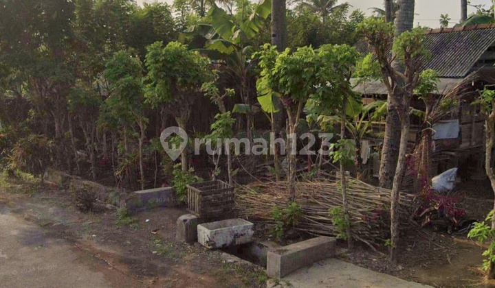 Land Ready to Build Near the Wax Monument Gumilir Cilacap