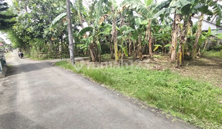 Land 210 m² Hook Position in Gumilir North Cilacap