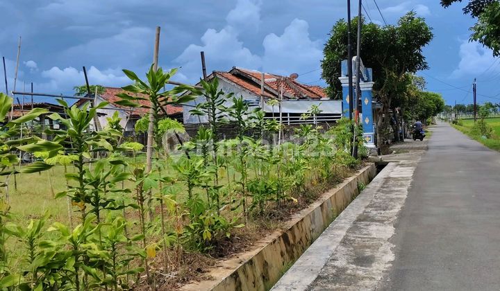 Shm Land 60 Meters Wide Near Adipala Terminal Cilacap