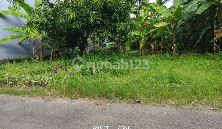 Shm Land Super Strategic Best Price In Maos Shm Land Super Strategic Best Price In Maos