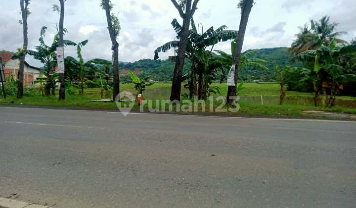 Tanah Jalan Nasional Di Dekat Pabrik Dan Spbu Banyumas Tanah Jalan Nasional Di Dekat Pabrik Dan Spbu Banyumas