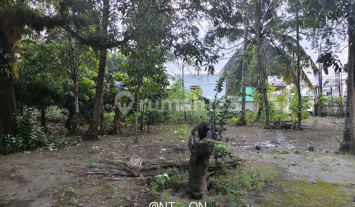 Best Price Shm Land Near Central Office Crowded Area Adipala Cilacap Best Price Shm Land Near Central Office Crowded Area Adipala Cilacap