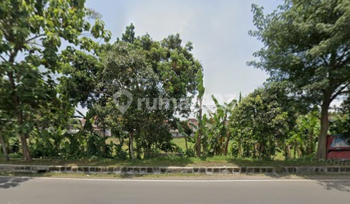 Tanah SHM Lebar 95 Meter Dekat Alun Alun Purwokerto Tanah SHM Lebar 95 Meter Dekat Alun Alun Purwokerto