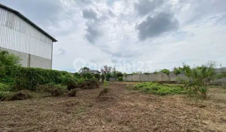 DIJUAL CEPAT LAHAN DEPAN DAN BELAKANG DI SERANG BANTEN DIJUAL CEPAT LAHAN DEPAN DAN BELAKANG DI SERANG BANTEN