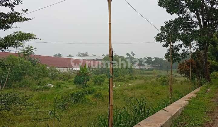 Tanah Luas Termurah Jl Raya Arco Citayam Kalisuren Tajur Halang Bogor Tanah Luas Termurah Jl Raya Arco Citayam Kalisuren Tajur Halang Bogor