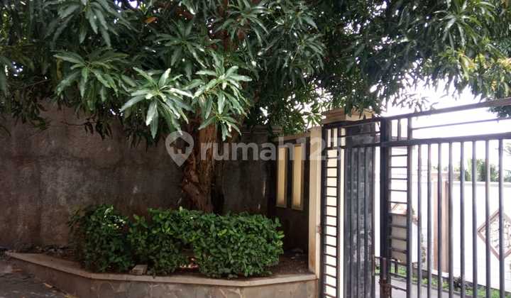 Rumah Dan Kost Exclusive 2 Lt Di Jl. Welirang Karangrejo Gajahmungkur Semarang 2