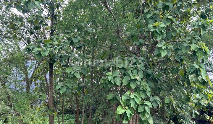 Tanah Dijual Utara Lapangan Tlogomulyo Pedurungan 2