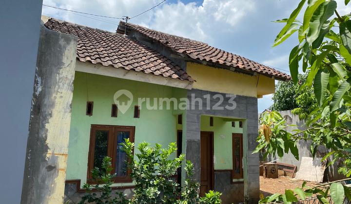 House in Palir Sejahtera Podorejo Ngaliyan Semarang 2