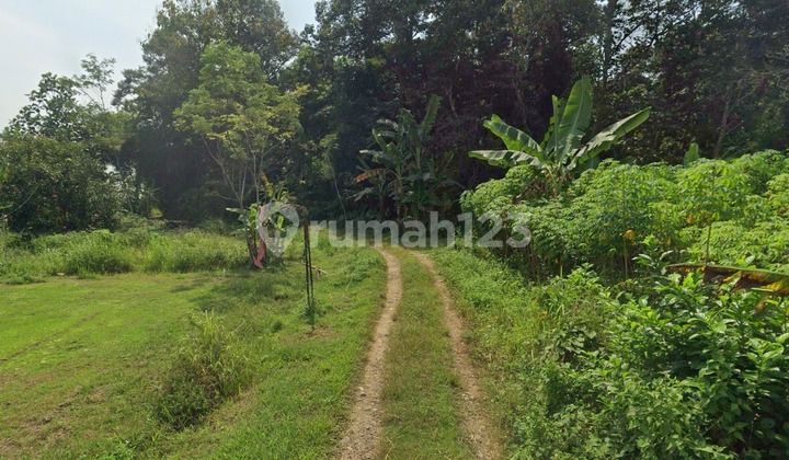 Tanah Dibawah Njop Zona Kuning Di Dukuh Jetis Kp Nglarang Gunungpati 1