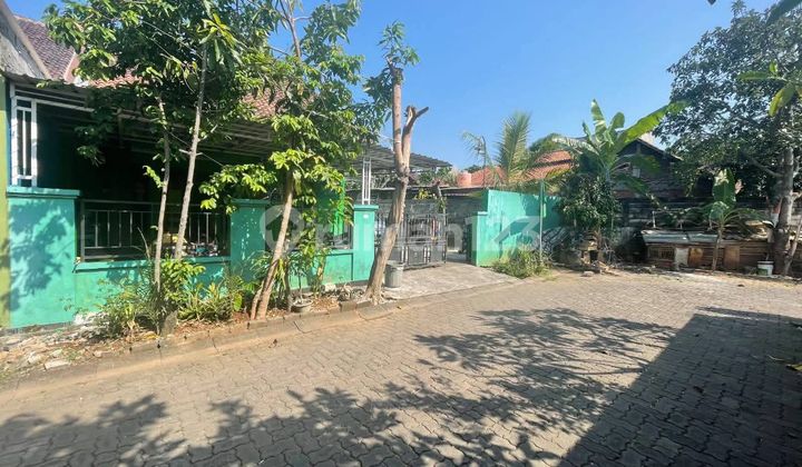 Rumah Pojok Dkt Undip Cocok Buat Kostdi Graha Prasetya, Pedalangan, Banyumanik 2