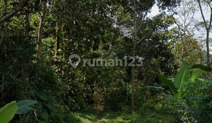 Tanah Dibawah Njop Zona Kuning Di Dukuh Jetis Kp Nglarang Gunungpati 2