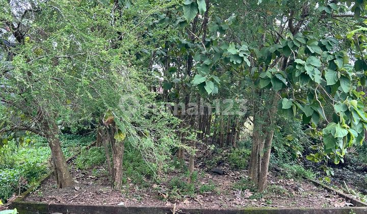 Land for Sale North of Tlogomulyo Pedurungan Field