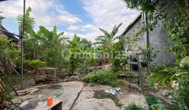 Vacant Land in Purwomukti South, Pedurungan Lor, Semarang 2