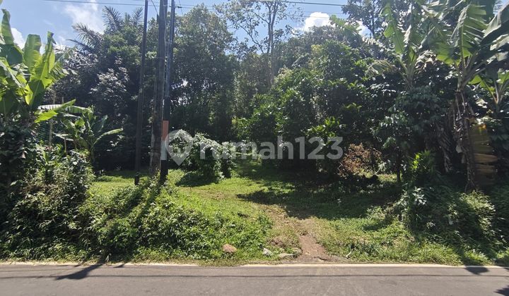 Tanah Zona Kuning Di Pinggir Jalan Raya Kalisidi Ungaran Barat 2