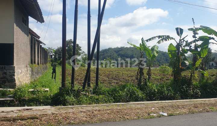 Tanah Sawah di Jl Raya Campursalam Parakan Temanggung